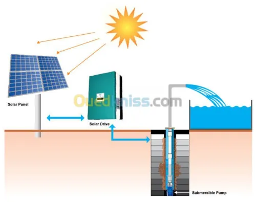 Maintenance Eclairage & Irrigation