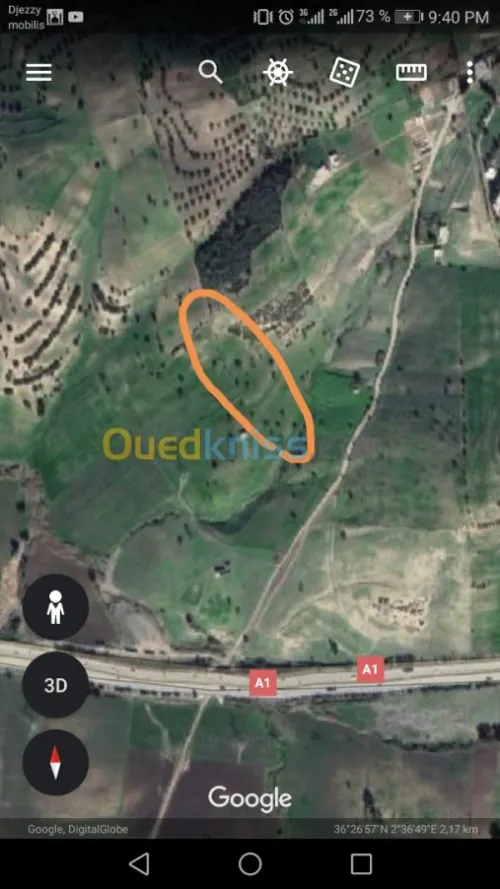Vente Terrain Blida El affroun