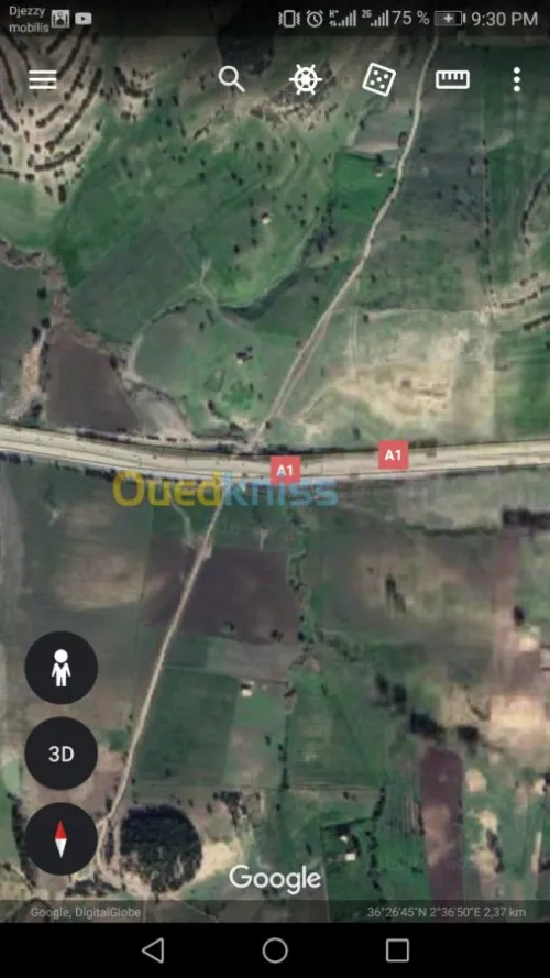 Vente Terrain Blida El affroun