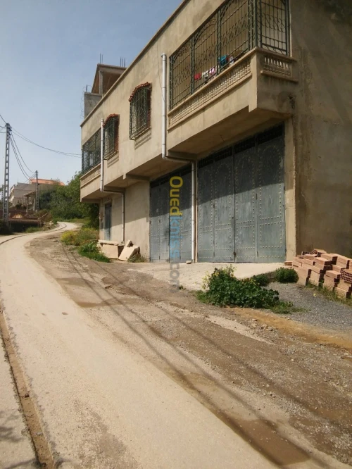 Vente Villa Ain defla Miliana