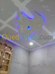 placo platre . l'electriciti .pinture