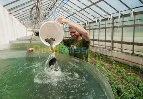 Etudes projets aquacole
