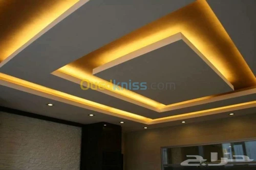 BA13 faux plafon démontable et MDF