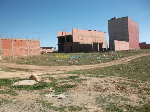 Vente Terrain Saïda Ouled khaled