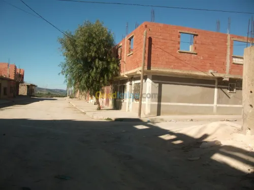 Vente Terrain Saïda Ouled khaled