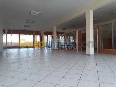 Location Immeuble Alger Dely brahim