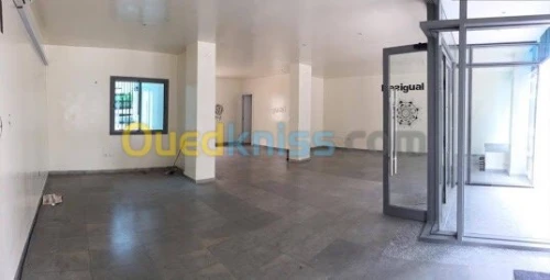 Location Immeuble Alger Dely brahim