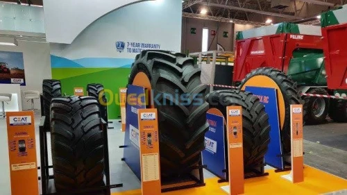 Tout les pneus  et jantes clark 