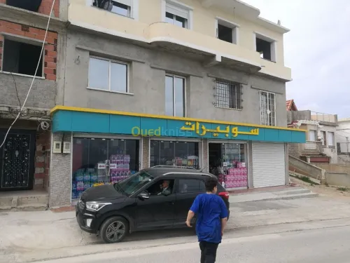 Décoration Façade Panneau Mur-rideau