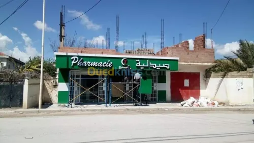 Décoration Façade Panneau Mur-rideau