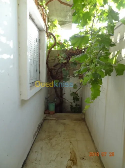 Vente Villa Constantine El khroub