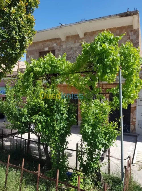Vente Villa Mascara Ain fekan