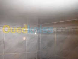 PLACOPLATRE ET PVC