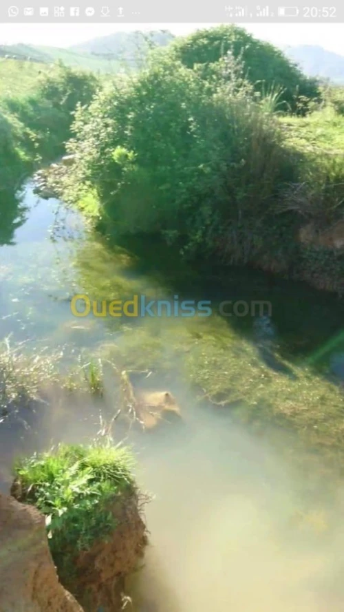 Location Hangar Skikda Ain bouziane