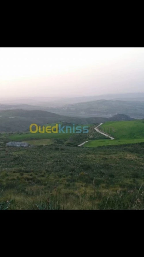 Location Hangar Skikda Ain bouziane