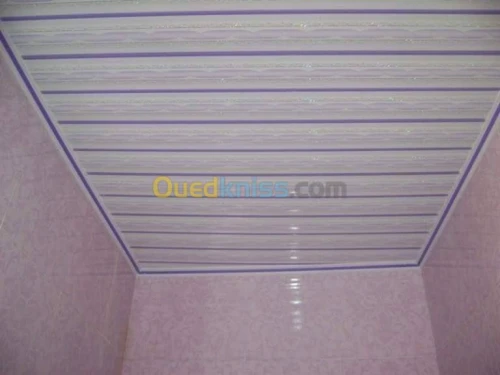 Faux plafond séparation meubles tv
