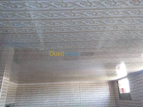 Faux plafond séparation meubles tv