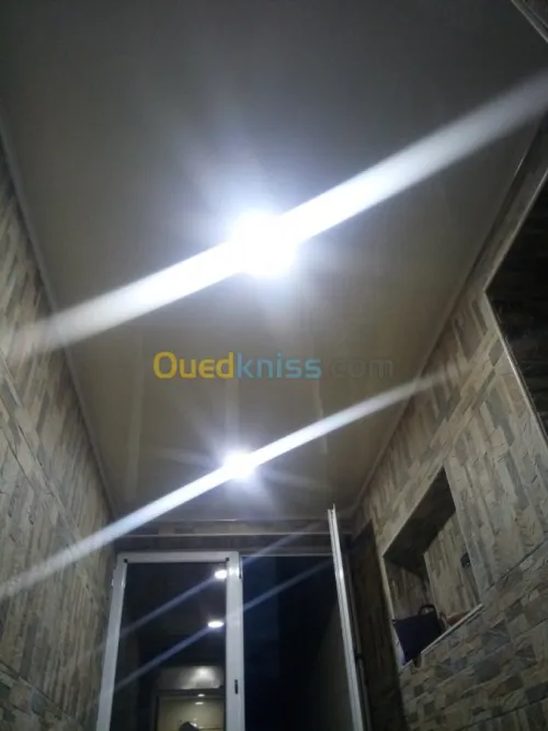 Pvc faux plafond