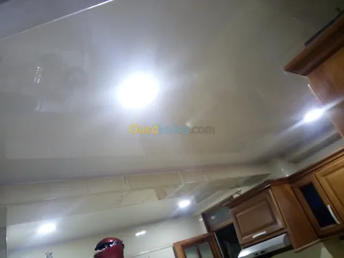 Pvc faux plafond
