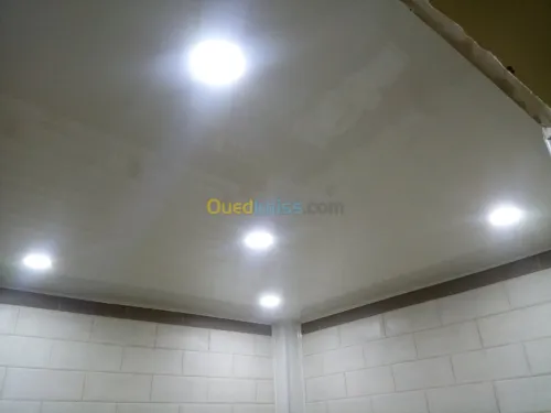 Pvc faux plafond