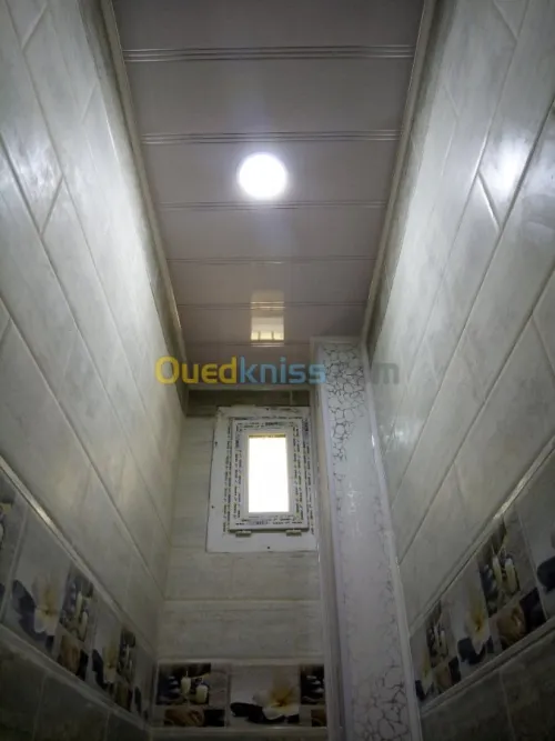 Pvc faux plafond