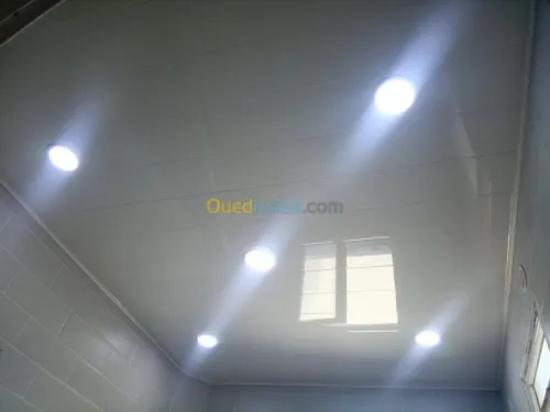 Pvc faux plafond