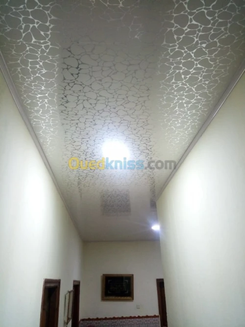 Pvc faux plafond