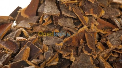 Ejaculation précoce et Infertilité