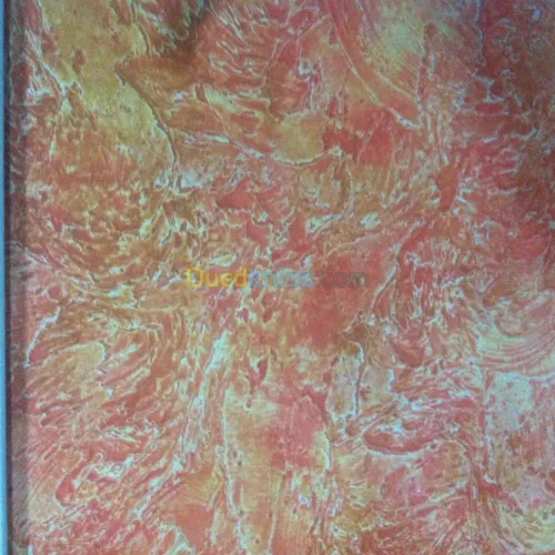 decoration générale  