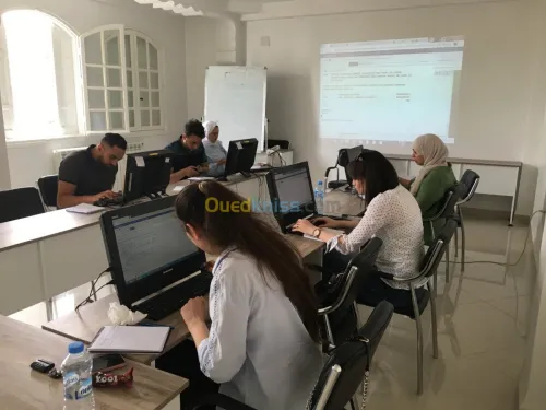 Formation Amadeus 3 Niveaux