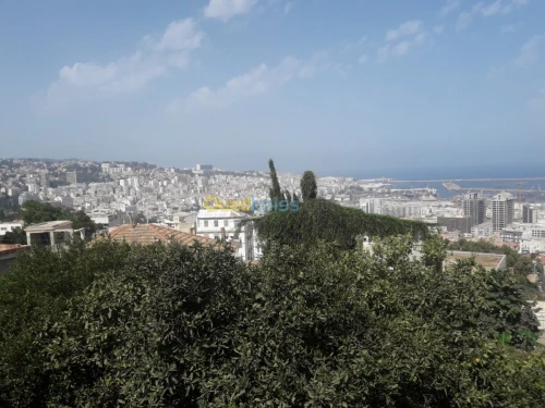 Vente Villa Alger El mouradia