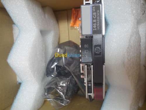 Disque SCSI  146.8GB