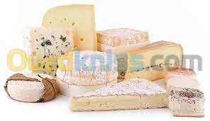 FORMATION EN FABRICATION DE FROMAGES A