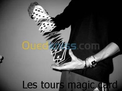 Organisateur Spectacle de Magie 