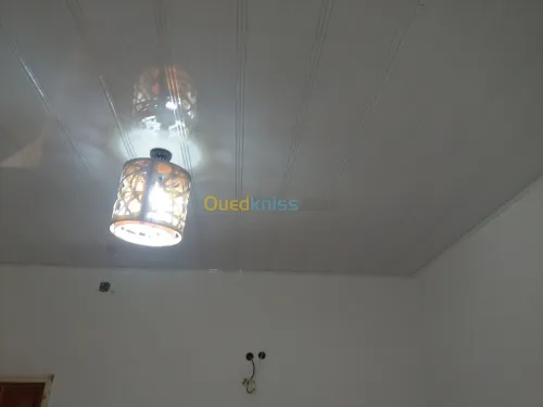 faux plafonds en PVC