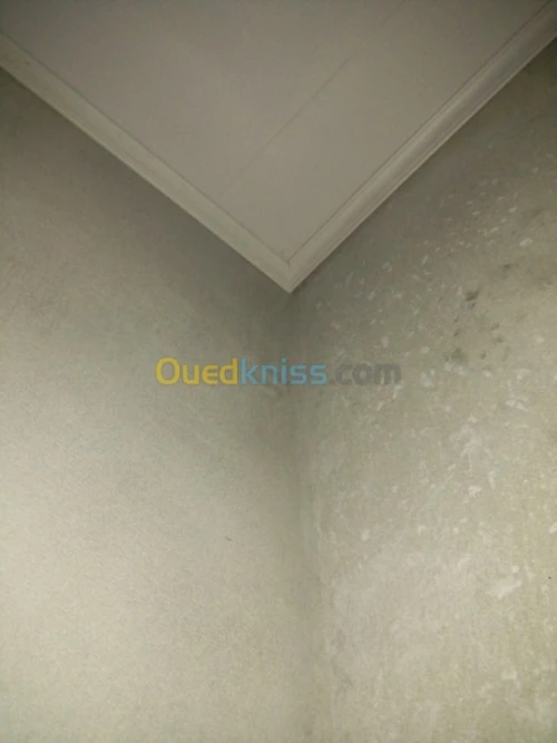 faux plafonds en PVC