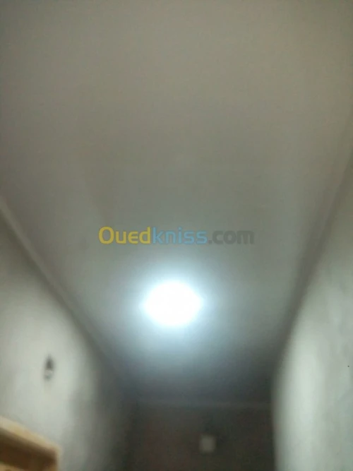 faux plafonds en PVC