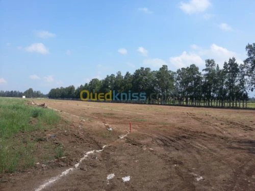 Vente Terrain Alger Ouled chebel