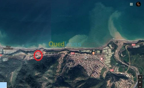 Location Local Tipaza Messelmoun