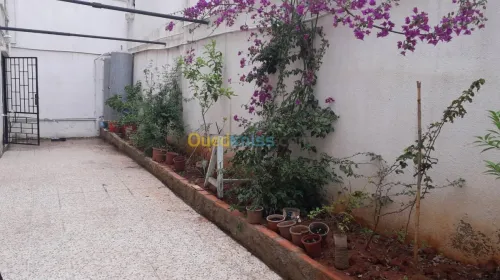 Location Appartement F3 Alger Dely brahim