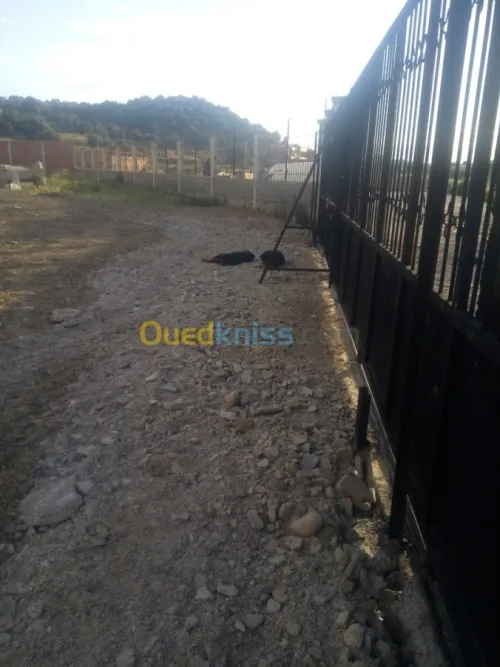 Location Terrain Bouira Ahnif