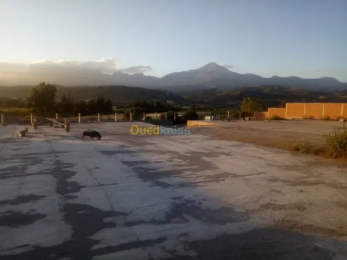 Location Terrain Bouira Ahnif
