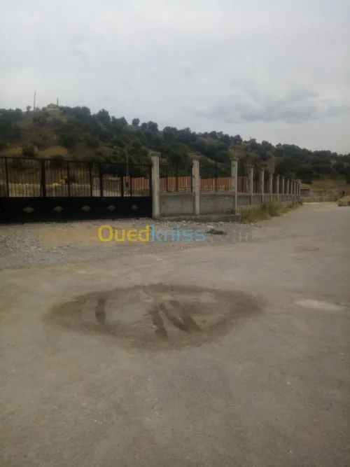 Location Terrain Bouira Ahnif