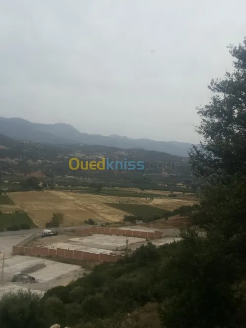 Location Terrain Bouira Ahnif