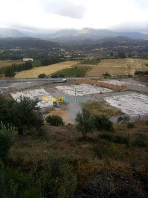 Location Terrain Bouira Ahnif