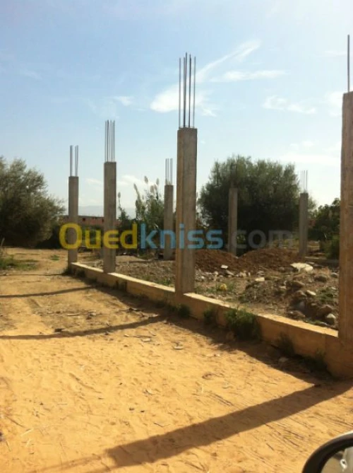 Vente Terrain Alger Ouled chebel