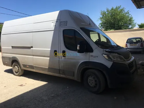 Location d'utilitaire 
