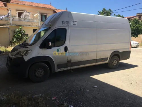 Location d'utilitaire 