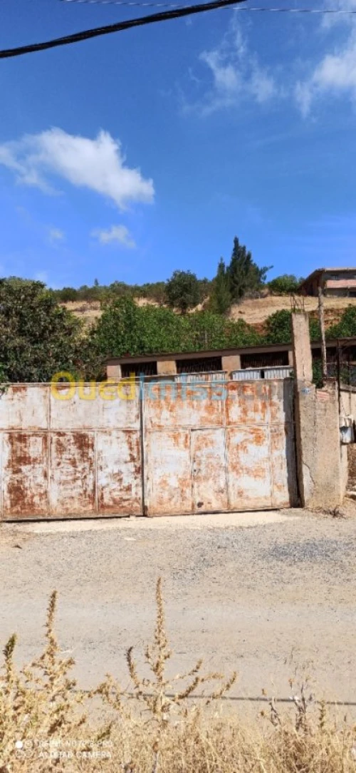 Vente Terrain Medea Medea