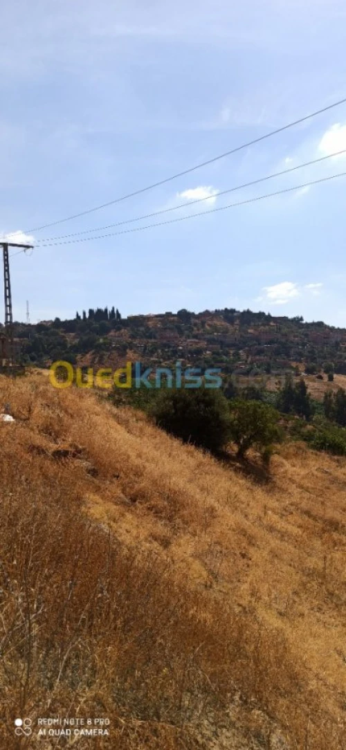 Vente Terrain Medea Medea